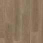 Preview: Xplora Next Finesse 8652 Oak Infinity brown