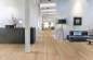 Preview: EICHE ASPELAND Preview: EICHE ASPELAND